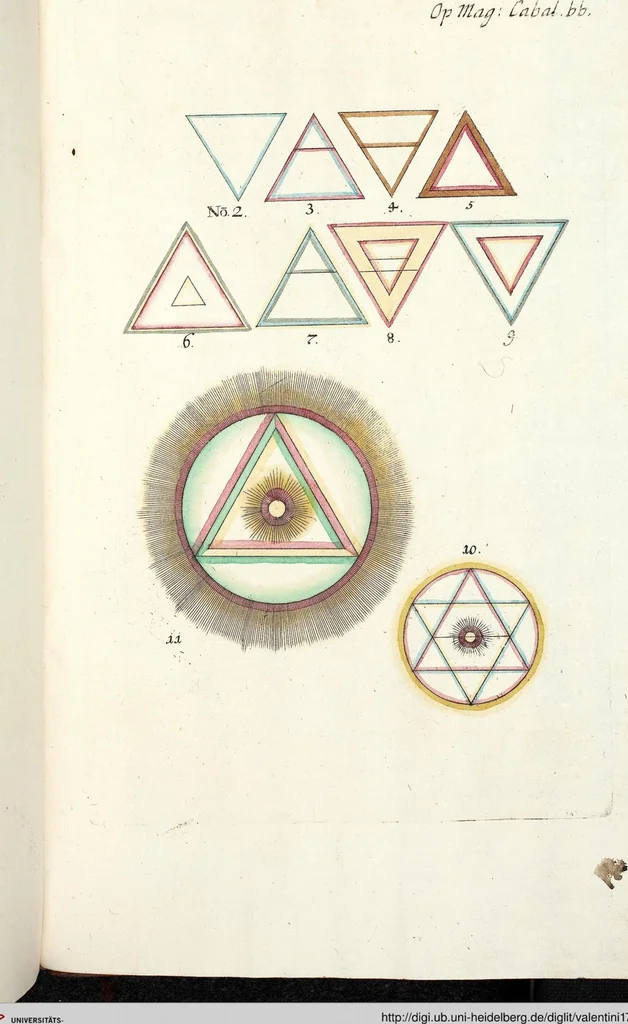 An illustration from Viridarium Reformatum, Seu Regnum Vegetabile, Das ist: Neu-eingerichtetes und Vollständiges Kräuter-Buch: Worinnen auff noch nicht geschehene Weise Derer Vegetabilien, als Kräutern, Sträuchen, Bäumen, Bluhmen und anderer Erd-Gewachsen Art, Krafft und Würckung dergestalt beschrieben werden, daß man dieses Werck statt einer Botanischen Bibliothec haben ... kan, 1719, leaf 1111