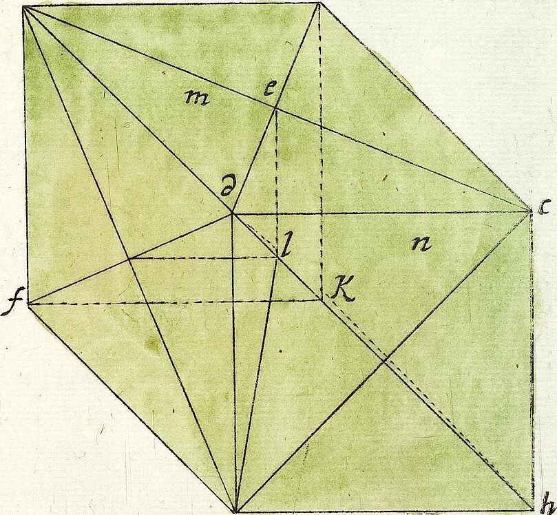 An illustration from Viridarium Reformatum, Seu Regnum Vegetabile, Das ist: Neu-eingerichtetes und Vollständiges Kräuter-Buch: Worinnen auff noch nicht geschehene Weise Derer Vegetabilien, als Kräutern, Sträuchen, Bäumen, Bluhmen und anderer Erd-Gewachsen Art, Krafft und Würckung dergestalt beschrieben werden, daß man dieses Werck statt einer Botanischen Bibliothec haben ... kan, 1719, leaf 1113
