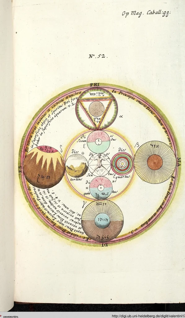 An illustration from Viridarium Reformatum, Seu Regnum Vegetabile, Das ist: Neu-eingerichtetes und Vollständiges Kräuter-Buch: Worinnen auff noch nicht geschehene Weise Derer Vegetabilien, als Kräutern, Sträuchen, Bäumen, Bluhmen und anderer Erd-Gewachsen Art, Krafft und Würckung dergestalt beschrieben werden, daß man dieses Werck statt einer Botanischen Bibliothec haben ... kan, 1719, leaf 1116