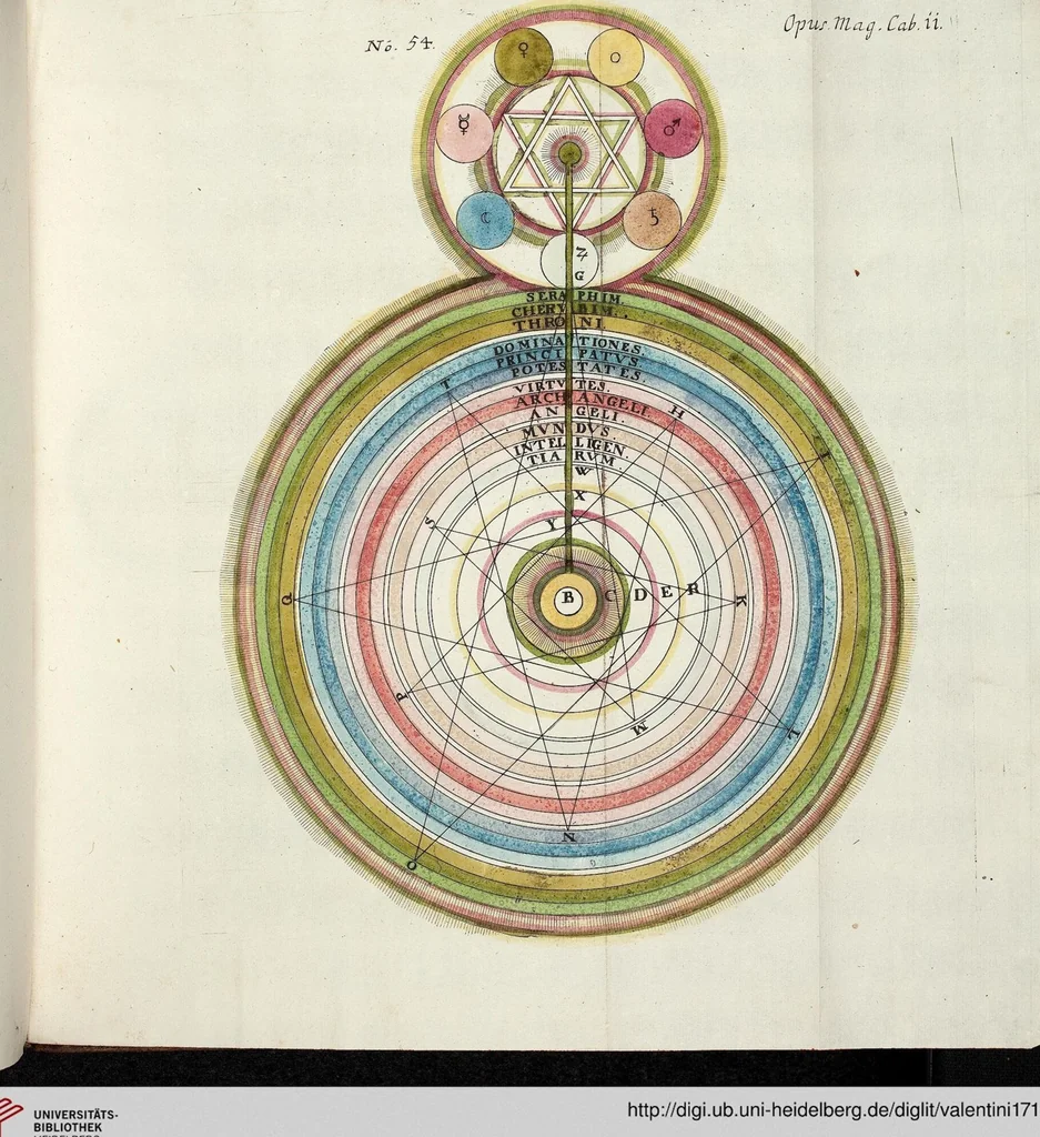 An illustration from Viridarium Reformatum, Seu Regnum Vegetabile, Das ist: Neu-eingerichtetes und Vollständiges Kräuter-Buch: Worinnen auff noch nicht geschehene Weise Derer Vegetabilien, als Kräutern, Sträuchen, Bäumen, Bluhmen und anderer Erd-Gewachsen Art, Krafft und Würckung dergestalt beschrieben werden, daß man dieses Werck statt einer Botanischen Bibliothec haben ... kan, 1719, leaf 1118