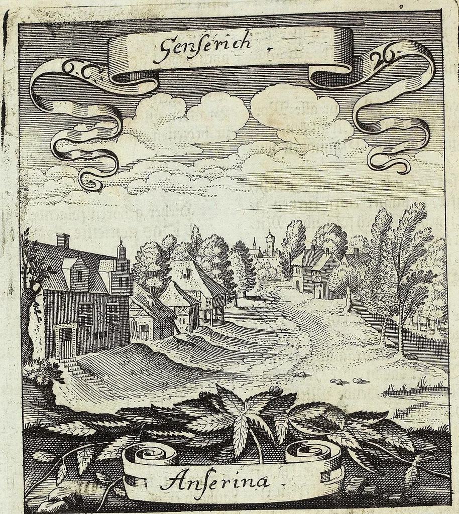 An illustration from Viridarium Reformatum, Seu Regnum Vegetabile, Das ist: Neu-eingerichtetes und Vollständiges Kräuter-Buch: Worinnen auff noch nicht geschehene Weise Derer Vegetabilien, als Kräutern, Sträuchen, Bäumen, Bluhmen und anderer Erd-Gewachsen Art, Krafft und Würckung dergestalt beschrieben werden, daß man dieses Werck statt einer Botanischen Bibliothec haben ... kan, 1719, leaf 294
