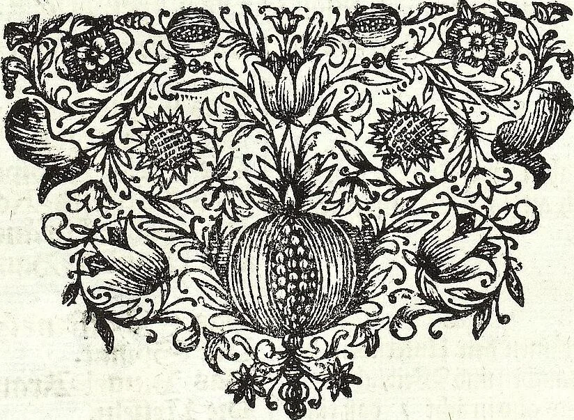 An illustration from Viridarium Reformatum, Seu Regnum Vegetabile, Das ist: Neu-eingerichtetes und Vollständiges Kräuter-Buch: Worinnen auff noch nicht geschehene Weise Derer Vegetabilien, als Kräutern, Sträuchen, Bäumen, Bluhmen und anderer Erd-Gewachsen Art, Krafft und Würckung dergestalt beschrieben werden, daß man dieses Werck statt einer Botanischen Bibliothec haben ... kan, 1719, leaf 535