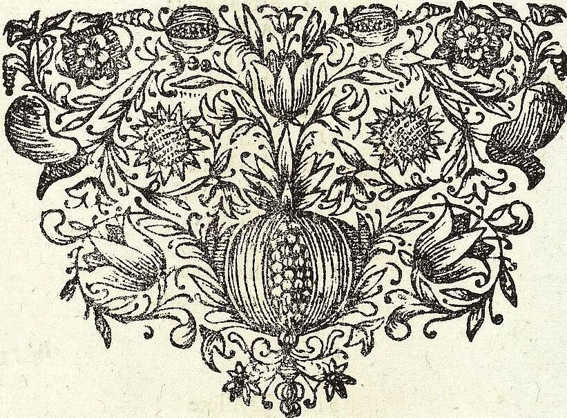 An illustration from Viridarium Reformatum, Seu Regnum Vegetabile, Das ist: Neu-eingerichtetes und Vollständiges Kräuter-Buch: Worinnen auff noch nicht geschehene Weise Derer Vegetabilien, als Kräutern, Sträuchen, Bäumen, Bluhmen und anderer Erd-Gewachsen Art, Krafft und Würckung dergestalt beschrieben werden, daß man dieses Werck statt einer Botanischen Bibliothec haben ... kan, 1719, leaf 615