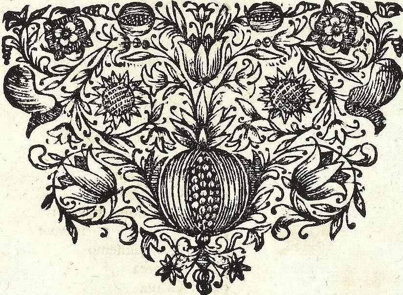 An illustration from Viridarium Reformatum, Seu Regnum Vegetabile, Das ist: Neu-eingerichtetes und Vollständiges Kräuter-Buch: Worinnen auff noch nicht geschehene Weise Derer Vegetabilien, als Kräutern, Sträuchen, Bäumen, Bluhmen und anderer Erd-Gewachsen Art, Krafft und Würckung dergestalt beschrieben werden, daß man dieses Werck statt einer Botanischen Bibliothec haben ... kan, 1719, leaf 625