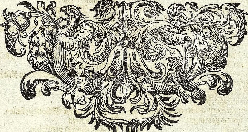 An illustration from Viridarium Reformatum, Seu Regnum Vegetabile, Das ist: Neu-eingerichtetes und Vollständiges Kräuter-Buch: Worinnen auff noch nicht geschehene Weise Derer Vegetabilien, als Kräutern, Sträuchen, Bäumen, Bluhmen und anderer Erd-Gewachsen Art, Krafft und Würckung dergestalt beschrieben werden, daß man dieses Werck statt einer Botanischen Bibliothec haben ... kan, 1719, leaf 629