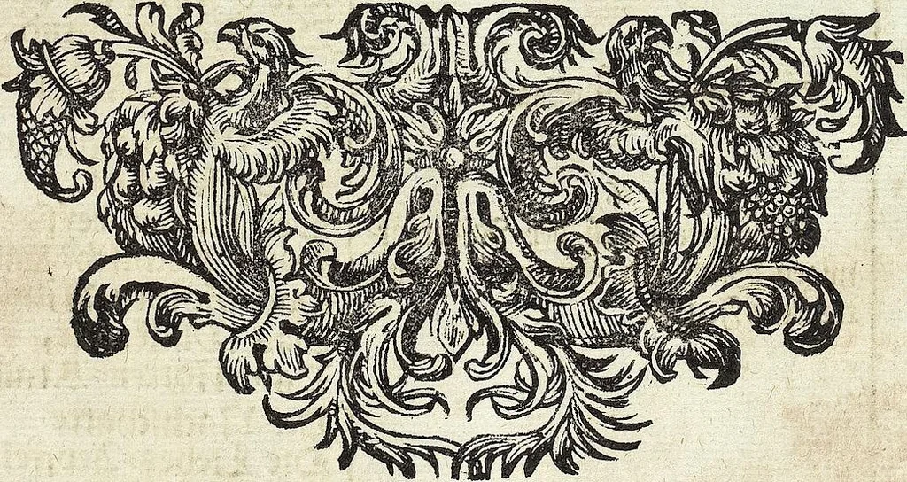 An illustration from Viridarium Reformatum, Seu Regnum Vegetabile, Das ist: Neu-eingerichtetes und Vollständiges Kräuter-Buch: Worinnen auff noch nicht geschehene Weise Derer Vegetabilien, als Kräutern, Sträuchen, Bäumen, Bluhmen und anderer Erd-Gewachsen Art, Krafft und Würckung dergestalt beschrieben werden, daß man dieses Werck statt einer Botanischen Bibliothec haben ... kan, 1719, leaf 69