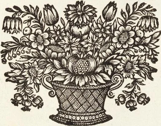 An illustration from Nürnbergische Hesperides, Oder Gründliche Beschreibung Der Edlen Citronat- Citronen- und Pomeranzen-Früchte: Wie solche in selbiger und benachbarten Gegend/ recht mögen eingesetzt/ gewartet/ erhalten und fortgebracht werden/ Samt Einer ausführlichen Erzehlung der meisten Sorten/ welche theils zu Nürnberg würcklich gewachsen/ theils von verschiedenen fremden Orten dahin gebracht worden, auf das accurateste in Kupffer gestochen/ in Vier Theile eingetheilet und mit nützlichen Anmerckungen erkläret, 1708, leaf 185