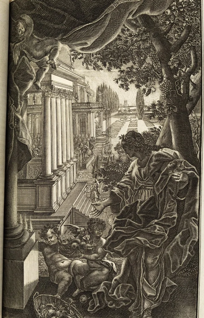 An illustration from Nürnbergische Hesperides, Oder Gründliche Beschreibung Der Edlen Citronat- Citronen- und Pomeranzen-Früchte: Wie solche in selbiger und benachbarten Gegend/ recht mögen eingesetzt/ gewartet/ erhalten und fortgebracht werden/ Samt Einer ausführlichen Erzehlung der meisten Sorten/ welche theils zu Nürnberg würcklich gewachsen/ theils von verschiedenen fremden Orten dahin gebracht worden, auf das accurateste in Kupffer gestochen/ in Vier Theile eingetheilet und mit nützlichen Anmerckungen erkläret, 1708, leaf 319