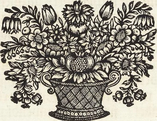 An illustration from Nürnbergische Hesperides, Oder Gründliche Beschreibung Der Edlen Citronat- Citronen- und Pomeranzen-Früchte: Wie solche in selbiger und benachbarten Gegend/ recht mögen eingesetzt/ gewartet/ erhalten und fortgebracht werden/ Samt Einer ausführlichen Erzehlung der meisten Sorten/ welche theils zu Nürnberg würcklich gewachsen/ theils von verschiedenen fremden Orten dahin gebracht worden, auf das accurateste in Kupffer gestochen/ in Vier Theile eingetheilet und mit nützlichen Anmerckungen erkläret, 1708, leaf 400