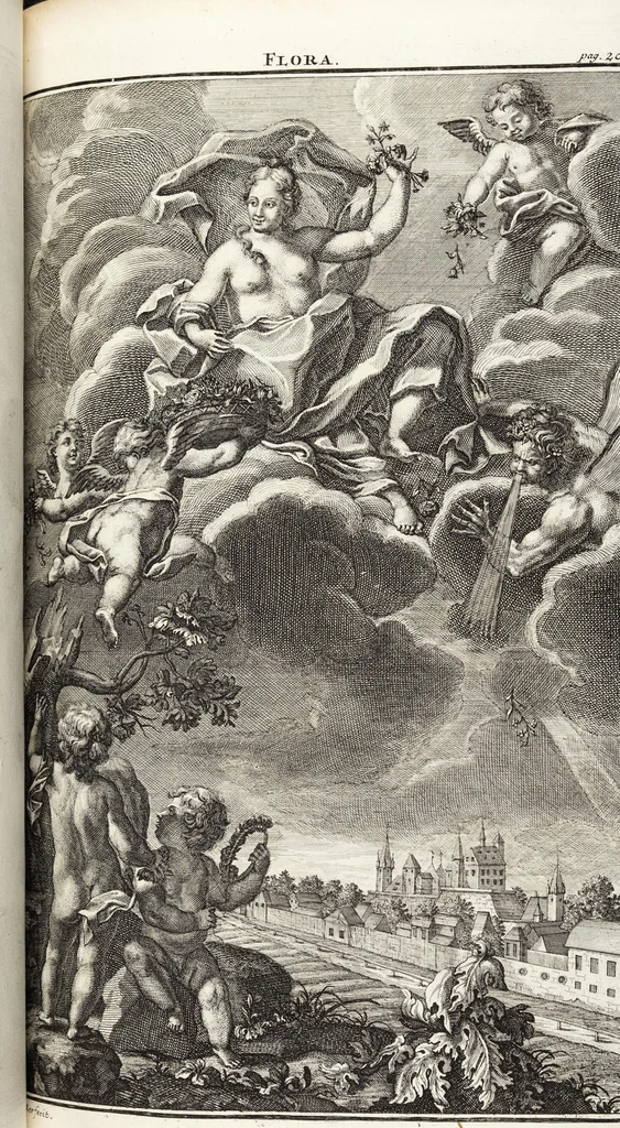 An illustration from Nürnbergische Hesperides, Oder Gründliche Beschreibung Der Edlen Citronat- Citronen- und Pomeranzen-Früchte: Wie solche in selbiger und benachbarten Gegend/ recht mögen eingesetzt/ gewartet/ erhalten und fortgebracht werden/ Samt Einer ausführlichen Erzehlung der meisten Sorten/ welche theils zu Nürnberg würcklich gewachsen/ theils von verschiedenen fremden Orten dahin gebracht worden, auf das accurateste in Kupffer gestochen/ in Vier Theile eingetheilet und mit nützlichen Anmerckungen erkläret, 1708, leaf 403