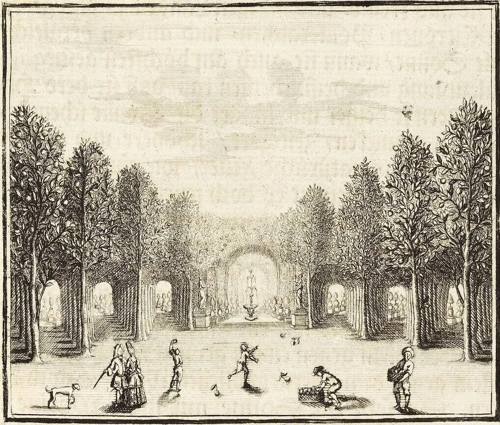 An illustration from Nürnbergische Hesperides, Oder Gründliche Beschreibung Der Edlen Citronat- Citronen- und Pomeranzen-Früchte: Wie solche in selbiger und benachbarten Gegend/ recht mögen eingesetzt/ gewartet/ erhalten und fortgebracht werden/ Samt Einer ausführlichen Erzehlung der meisten Sorten/ welche theils zu Nürnberg würcklich gewachsen/ theils von verschiedenen fremden Orten dahin gebracht worden, auf das accurateste in Kupffer gestochen/ in Vier Theile eingetheilet und mit nützlichen Anmerckungen erkläret, 1708, leaf 51