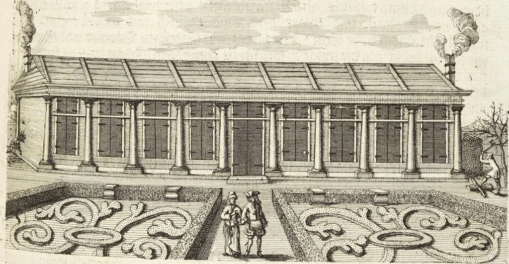 An illustration from Nürnbergische Hesperides, Oder Gründliche Beschreibung Der Edlen Citronat- Citronen- und Pomeranzen-Früchte: Wie solche in selbiger und benachbarten Gegend/ recht mögen eingesetzt/ gewartet/ erhalten und fortgebracht werden/ Samt Einer ausführlichen Erzehlung der meisten Sorten/ welche theils zu Nürnberg würcklich gewachsen/ theils von verschiedenen fremden Orten dahin gebracht worden, auf das accurateste in Kupffer gestochen/ in Vier Theile eingetheilet und mit nützlichen Anmerckungen erkläret, 1708, leaf 53