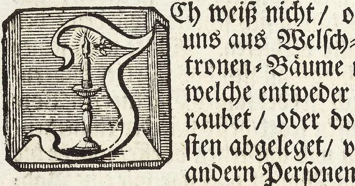 An illustration from Nürnbergische Hesperides, Oder Gründliche Beschreibung Der Edlen Citronat- Citronen- und Pomeranzen-Früchte: Wie solche in selbiger und benachbarten Gegend/ recht mögen eingesetzt/ gewartet/ erhalten und fortgebracht werden/ Samt Einer ausführlichen Erzehlung der meisten Sorten/ welche theils zu Nürnberg würcklich gewachsen/ theils von verschiedenen fremden Orten dahin gebracht worden, auf das accurateste in Kupffer gestochen/ in Vier Theile eingetheilet und mit nützlichen Anmerckungen erkläret, 1708, leaf 54