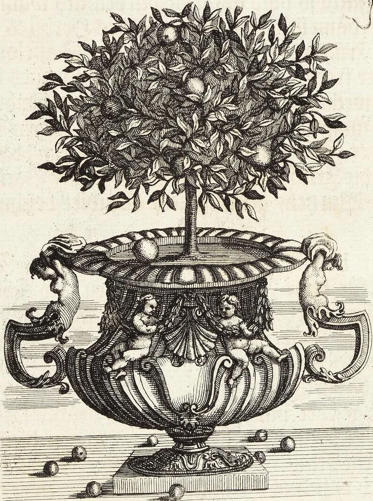 An illustration from Nürnbergische Hesperides, Oder Gründliche Beschreibung Der Edlen Citronat- Citronen- und Pomeranzen-Früchte: Wie solche in selbiger und benachbarten Gegend/ recht mögen eingesetzt/ gewartet/ erhalten und fortgebracht werden/ Samt Einer ausführlichen Erzehlung der meisten Sorten/ welche theils zu Nürnberg würcklich gewachsen/ theils von verschiedenen fremden Orten dahin gebracht worden, auf das accurateste in Kupffer gestochen/ in Vier Theile eingetheilet und mit nützlichen Anmerckungen erkläret, 1708, leaf 60