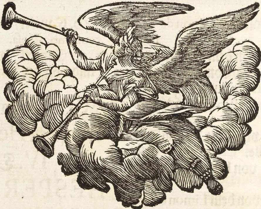 An illustration from Continvation der Nürnbergischen Hesperidvm, Oder: Fernere gründliche Beschreibung Der Edlen Citronat- Citronen- und Pomeranzen-Früchte: mit einem ausführlichen Bericht, wie solche am besten zu warten und zu erhalten seyn ; Worbei diejenigen Sorten, so theils zu Nürnberg gewachsen, theils von verschiedenen fremden Orten dahin gelanget, auf das accurateste in Kupffer gestochen und nachgezeichnet worden ; abermals in vier Theile eingetheilet, und mit gehörigen Anmerkungen erläutert, 1714, leaf 12