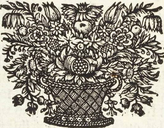 An illustration from Continvation der Nürnbergischen Hesperidvm, Oder: Fernere gründliche Beschreibung Der Edlen Citronat- Citronen- und Pomeranzen-Früchte: mit einem ausführlichen Bericht, wie solche am besten zu warten und zu erhalten seyn ; Worbei diejenigen Sorten, so theils zu Nürnberg gewachsen, theils von verschiedenen fremden Orten dahin gelanget, auf das accurateste in Kupffer gestochen und nachgezeichnet worden ; abermals in vier Theile eingetheilet, und mit gehörigen Anmerkungen erläutert, 1714, leaf 188