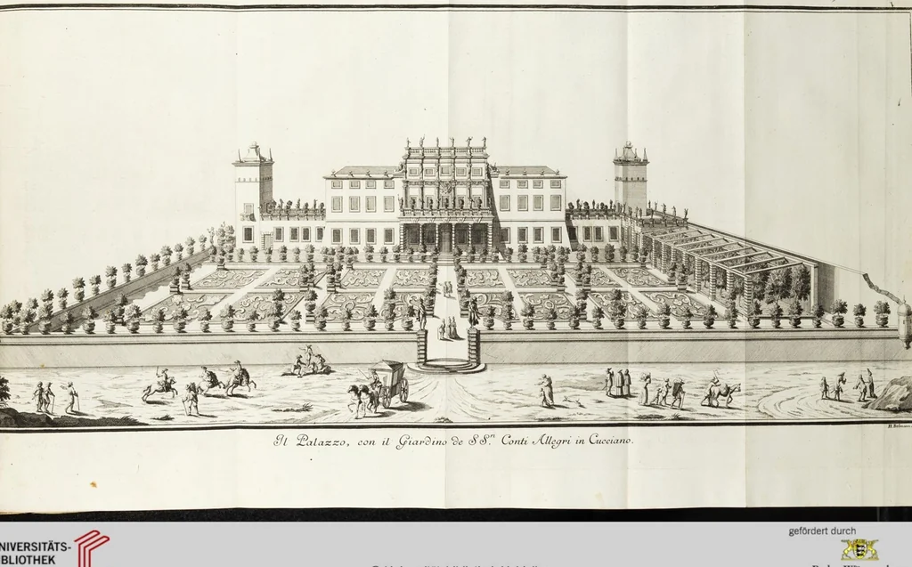An illustration from Continvation der Nürnbergischen Hesperidvm, Oder: Fernere gründliche Beschreibung Der Edlen Citronat- Citronen- und Pomeranzen-Früchte: mit einem ausführlichen Bericht, wie solche am besten zu warten und zu erhalten seyn ; Worbei diejenigen Sorten, so theils zu Nürnberg gewachsen, theils von verschiedenen fremden Orten dahin gelanget, auf das accurateste in Kupffer gestochen und nachgezeichnet worden ; abermals in vier Theile eingetheilet, und mit gehörigen Anmerkungen erläutert, 1714, leaf 49