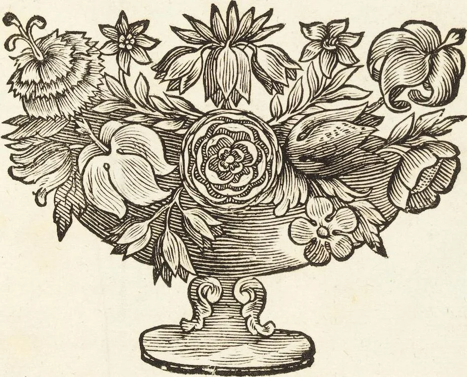 An illustration from Continvation der Nürnbergischen Hesperidvm, Oder: Fernere gründliche Beschreibung Der Edlen Citronat- Citronen- und Pomeranzen-Früchte: mit einem ausführlichen Bericht, wie solche am besten zu warten und zu erhalten seyn ; Worbei diejenigen Sorten, so theils zu Nürnberg gewachsen, theils von verschiedenen fremden Orten dahin gelanget, auf das accurateste in Kupffer gestochen und nachgezeichnet worden ; abermals in vier Theile eingetheilet, und mit gehörigen Anmerkungen erläutert, 1714, leaf 575