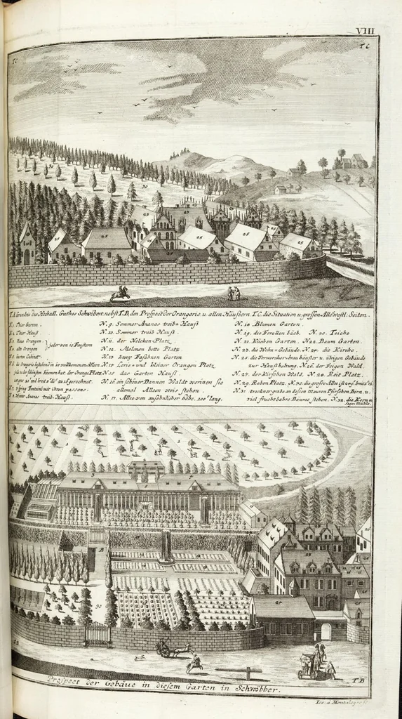 An illustration from Continvation der Nürnbergischen Hesperidvm, Oder: Fernere gründliche Beschreibung Der Edlen Citronat- Citronen- und Pomeranzen-Früchte: mit einem ausführlichen Bericht, wie solche am besten zu warten und zu erhalten seyn ; Worbei diejenigen Sorten, so theils zu Nürnberg gewachsen, theils von verschiedenen fremden Orten dahin gelanget, auf das accurateste in Kupffer gestochen und nachgezeichnet worden ; abermals in vier Theile eingetheilet, und mit gehörigen Anmerkungen erläutert, 1714, leaf 59