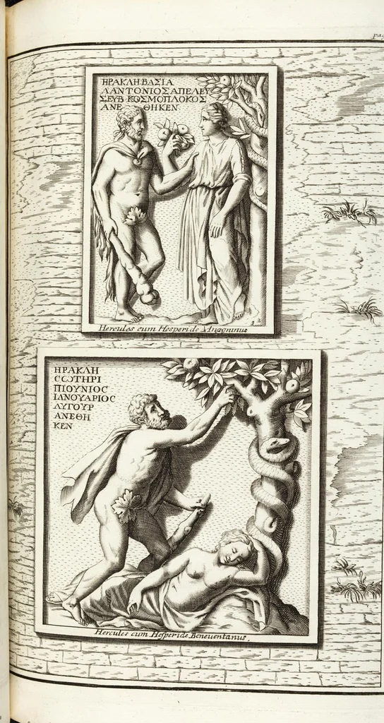 An illustration from Continvation der Nürnbergischen Hesperidvm, Oder: Fernere gründliche Beschreibung Der Edlen Citronat- Citronen- und Pomeranzen-Früchte: mit einem ausführlichen Bericht, wie solche am besten zu warten und zu erhalten seyn ; Worbei diejenigen Sorten, so theils zu Nürnberg gewachsen, theils von verschiedenen fremden Orten dahin gelanget, auf das accurateste in Kupffer gestochen und nachgezeichnet worden ; abermals in vier Theile eingetheilet, und mit gehörigen Anmerkungen erläutert, 1714, leaf 69