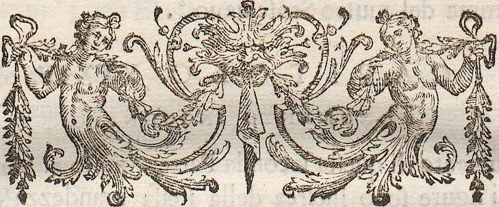 An illustration from (Band 2), 1767, leaf 230