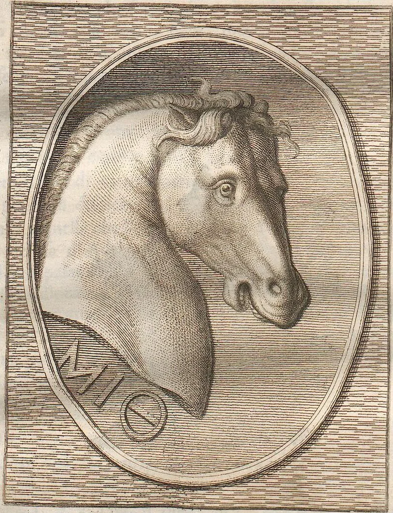 An illustration from (Band 2), 1767, leaf 250