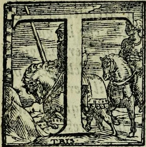 An illustration from Le antichita della citta di Roma: raccolte sotto breuita da diuersi antichi & moderni scrittori, 1580, leaf 13