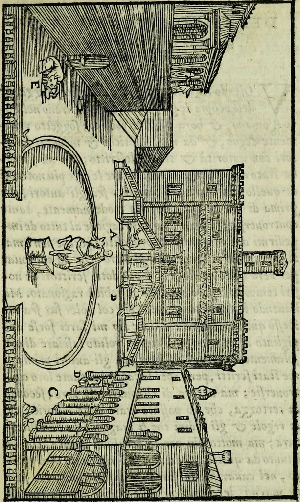 An illustration from Le antichita della citta di Roma: raccolte sotto breuita da diuersi antichi & moderni scrittori, 1580, leaf 47
