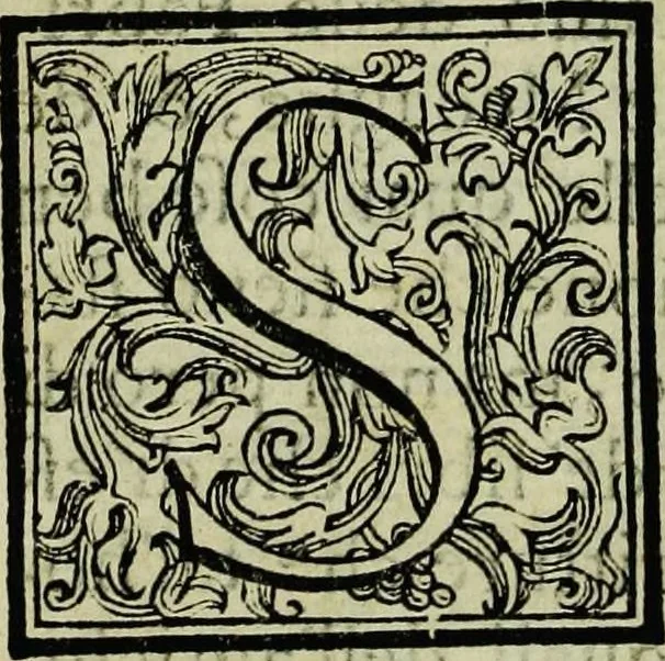 An illustration from Le antichita della citta di Roma: raccolte sotto breuita da diuersi antichi & moderni scrittori, 1580, leaf 7