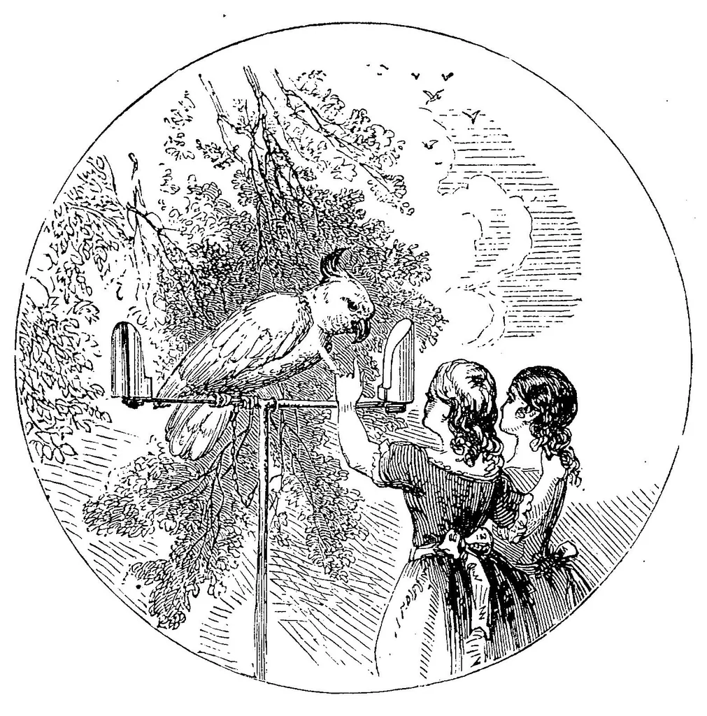 An illustration from The playground and the parlour: a handbook of boys\ games, sports, and amusements, 1868, leaf 336