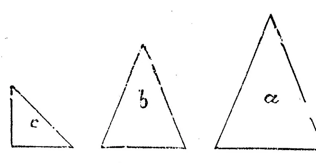 An illustration from The boy\s own toy-maker: a practical illustrated guide to the useful employment of leasure hours, 1881, leaf 169
