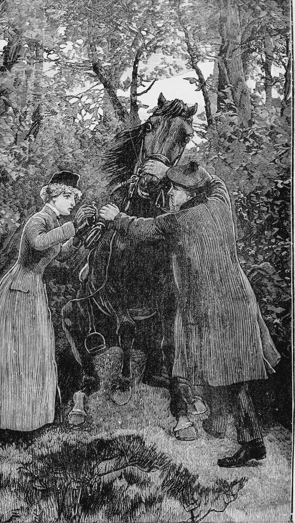 An illustration from Blind love (Volume 1), 1890, leaf 112