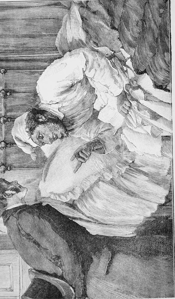 An illustration from Blind love (Volume 1), 1890, leaf 5