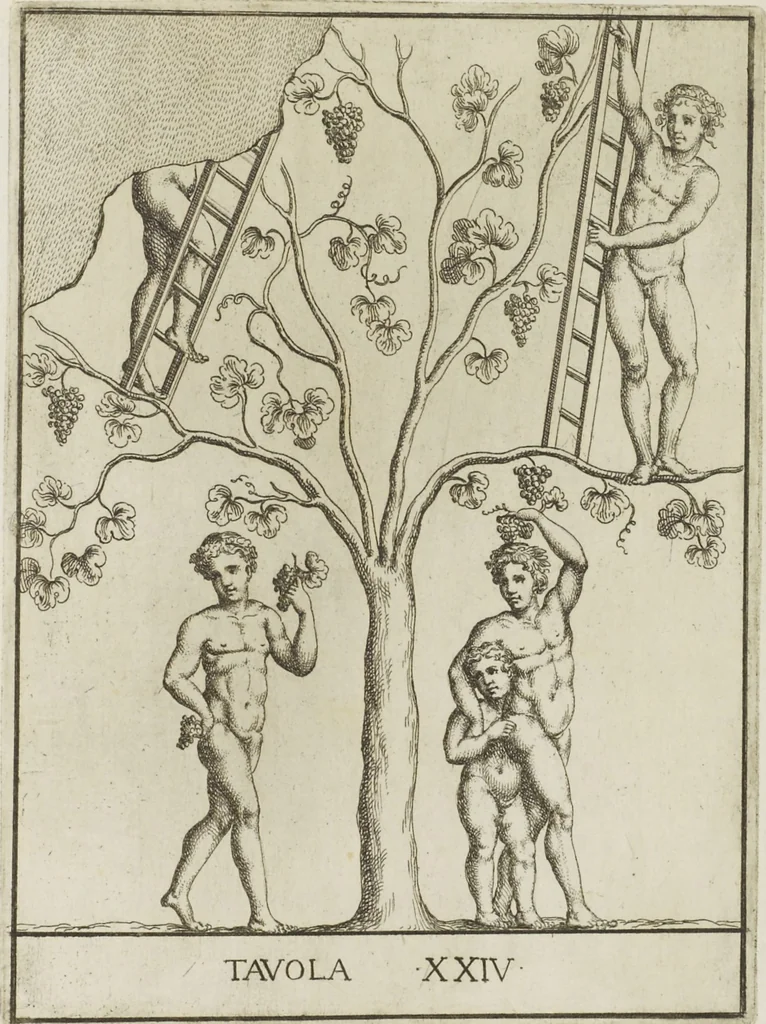 An illustration from Le pitture antiche delle grotte di Roma, e del sepolcro de' Nasonj: disegnate, & intagliate alla similitudine degli antichi originali, 1706, leaf 64