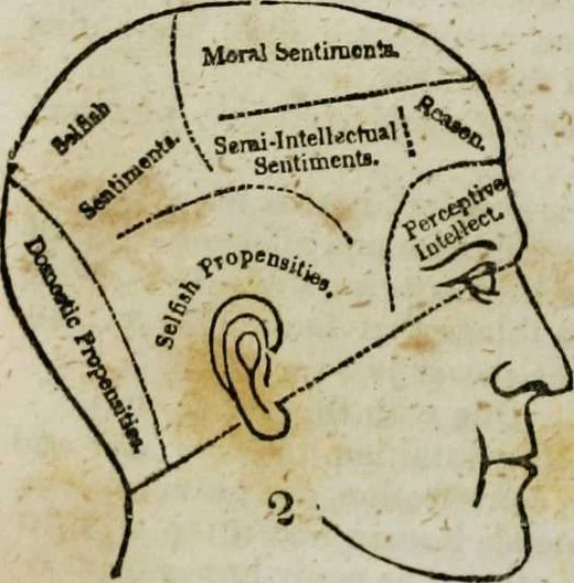 An illustration from Fowler's practical phrenology [electronic resource]: giving a concise elementary view on phrenology; presenting some new and important remarks on the temperaments, 1850, leaf 60