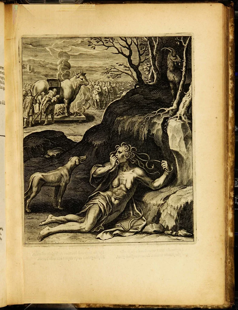 An illustration from Quinti Horatii Flacci emblemata: imaginibus in aes incisis, notisq[ue] illustrata, 1612, leaf 101
