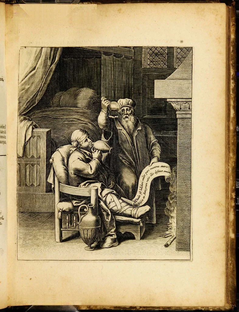 An illustration from Quinti Horatii Flacci emblemata: imaginibus in aes incisis, notisq[ue] illustrata, 1612, leaf 115