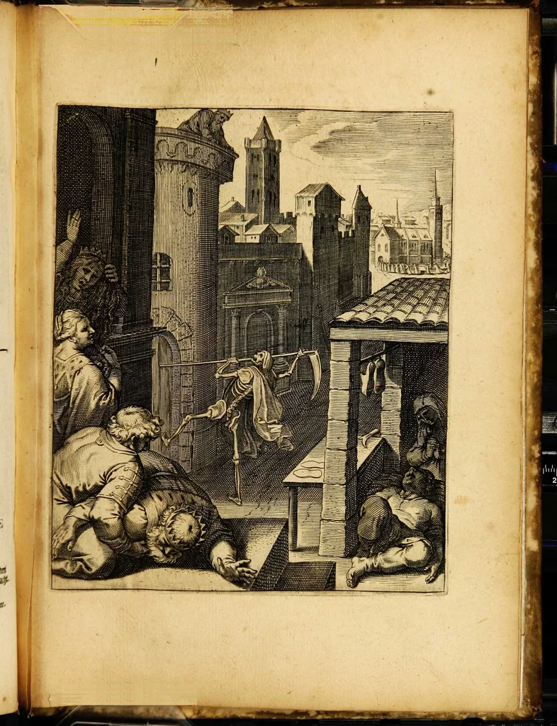 An illustration from Quinti Horatii Flacci emblemata: imaginibus in aes incisis, notisq[ue] illustrata, 1612, leaf 209