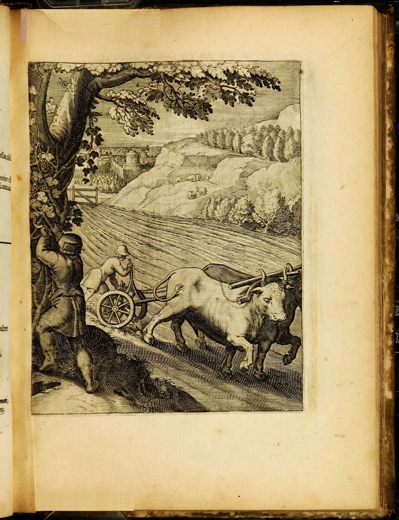 An illustration from Quinti Horatii Flacci emblemata: imaginibus in aes incisis, notisq[ue] illustrata, 1612, leaf 93