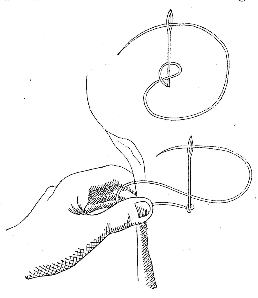 An illustration from Handbook of embroidery, 1880, leaf 37