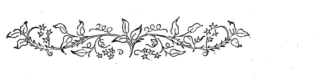 An illustration from Handbook of embroidery, 1880, leaf 51