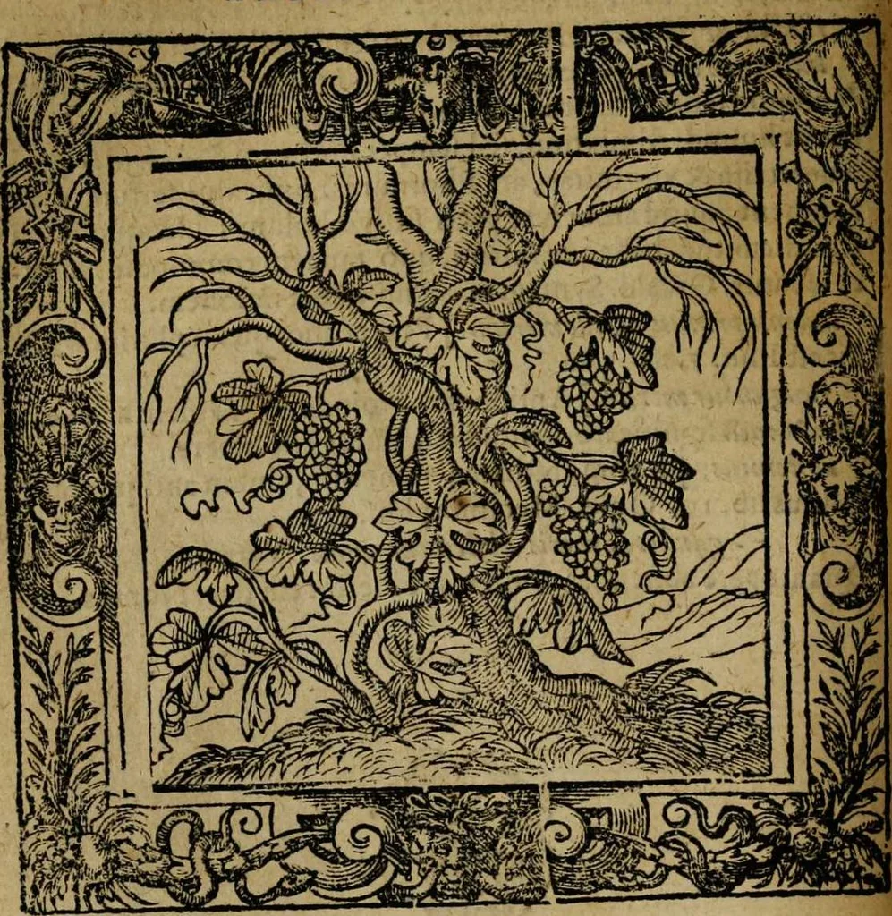 An illustration from Omnia Andreae Alciati v.c. emblemata [electronic resource]: cum commentariis, quibus emblematum omnium aperta origine, mens auctoris explicatur, & obscura omnia dubiáque illustrantur, 1581, leaf 138