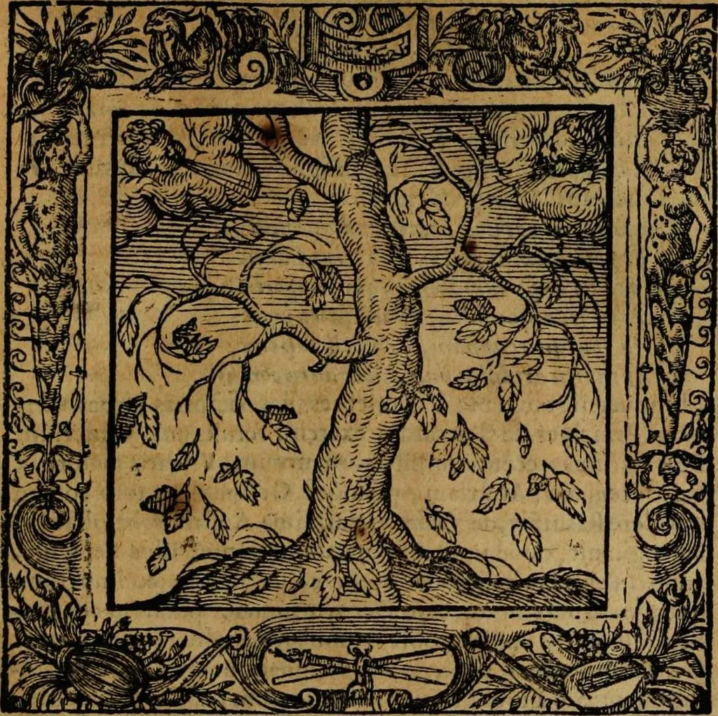 An illustration from Omnia Andreae Alciati v.c. emblemata [electronic resource]: cum commentariis, quibus emblematum omnium aperta origine, mens auctoris explicatur, & obscura omnia dubiáque illustrantur, 1581, leaf 211