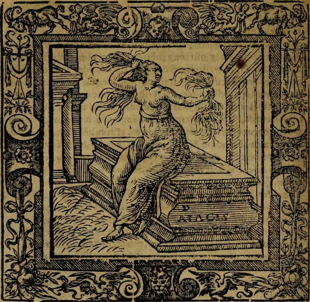 An illustration from Omnia Andreae Alciati v.c. emblemata [electronic resource]: cum commentariis, quibus emblematum omnium aperta origine, mens auctoris explicatur, & obscura omnia dubiáque illustrantur, 1581, leaf 228