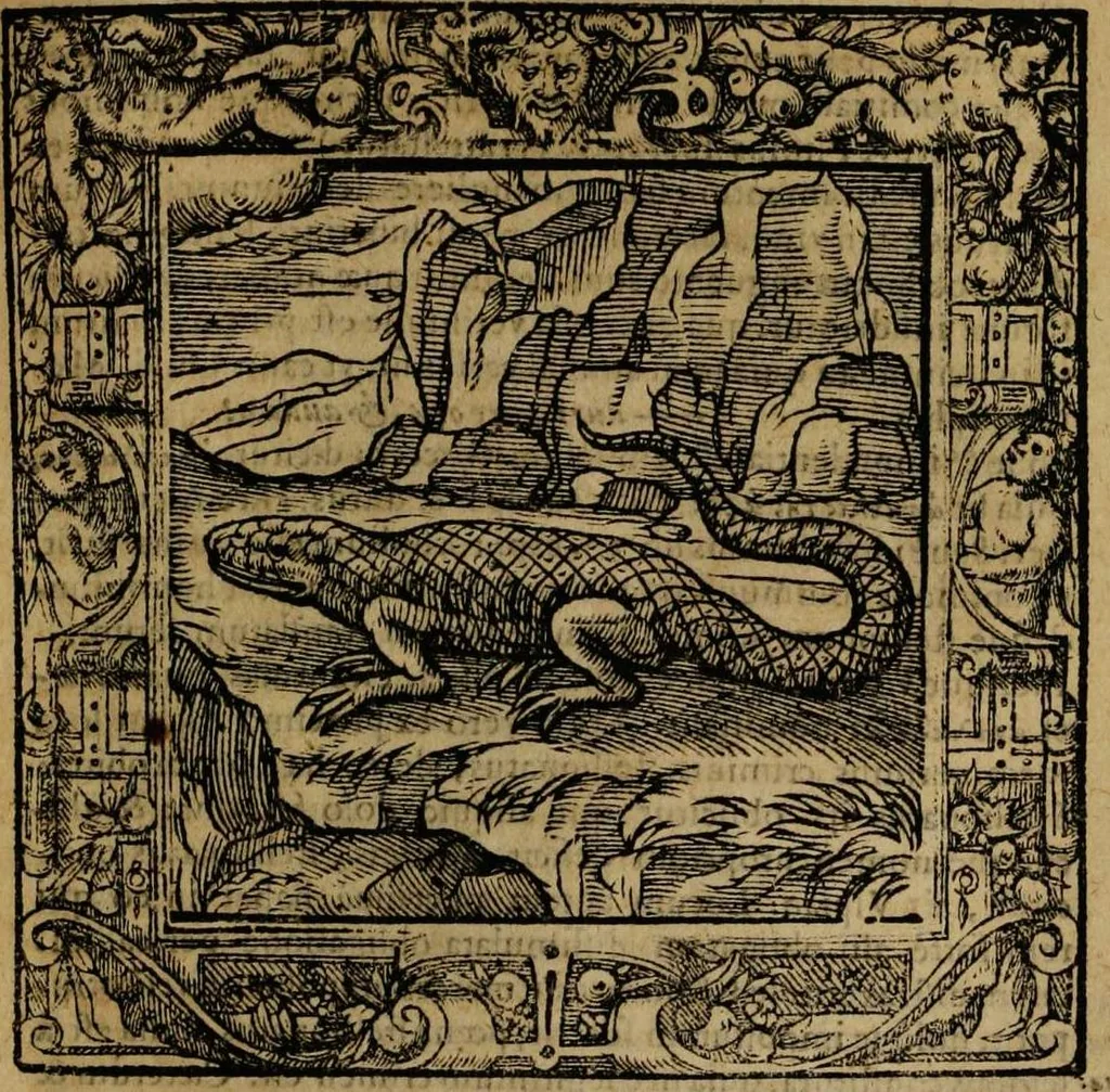An illustration from Omnia Andreae Alciati v.c. emblemata [electronic resource]: cum commentariis, quibus emblematum omnium aperta origine, mens auctoris explicatur, & obscura omnia dubiáque illustrantur, 1581, leaf 231