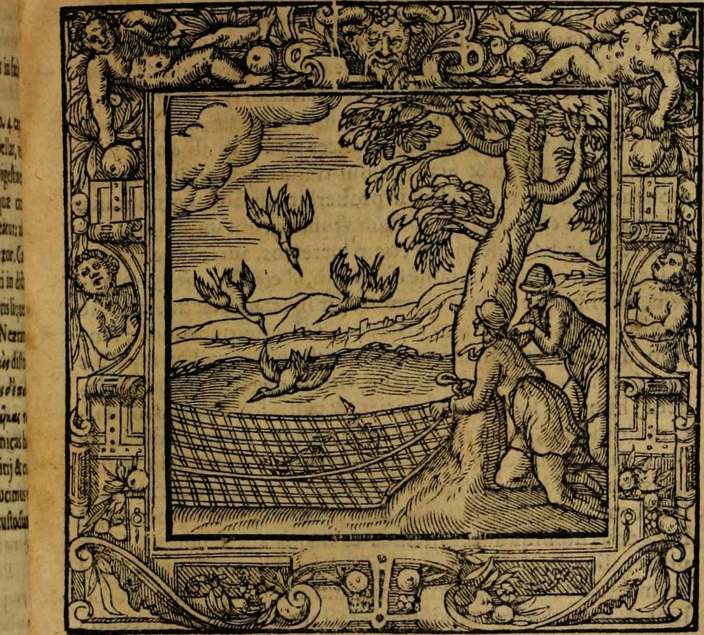 An illustration from Omnia Andreae Alciati v.c. emblemata [electronic resource]: cum commentariis, quibus emblematum omnium aperta origine, mens auctoris explicatur, & obscura omnia dubiáque illustrantur, 1581, leaf 235