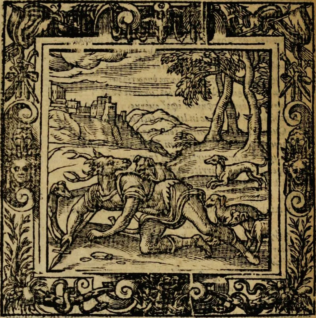 An illustration from Omnia Andreae Alciati v.c. emblemata [electronic resource]: cum commentariis, quibus emblematum omnium aperta origine, mens auctoris explicatur, & obscura omnia dubiáque illustrantur, 1581, leaf 240