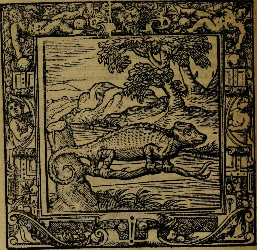 An illustration from Omnia Andreae Alciati v.c. emblemata [electronic resource]: cum commentariis, quibus emblematum omnium aperta origine, mens auctoris explicatur, & obscura omnia dubiáque illustrantur, 1581, leaf 244