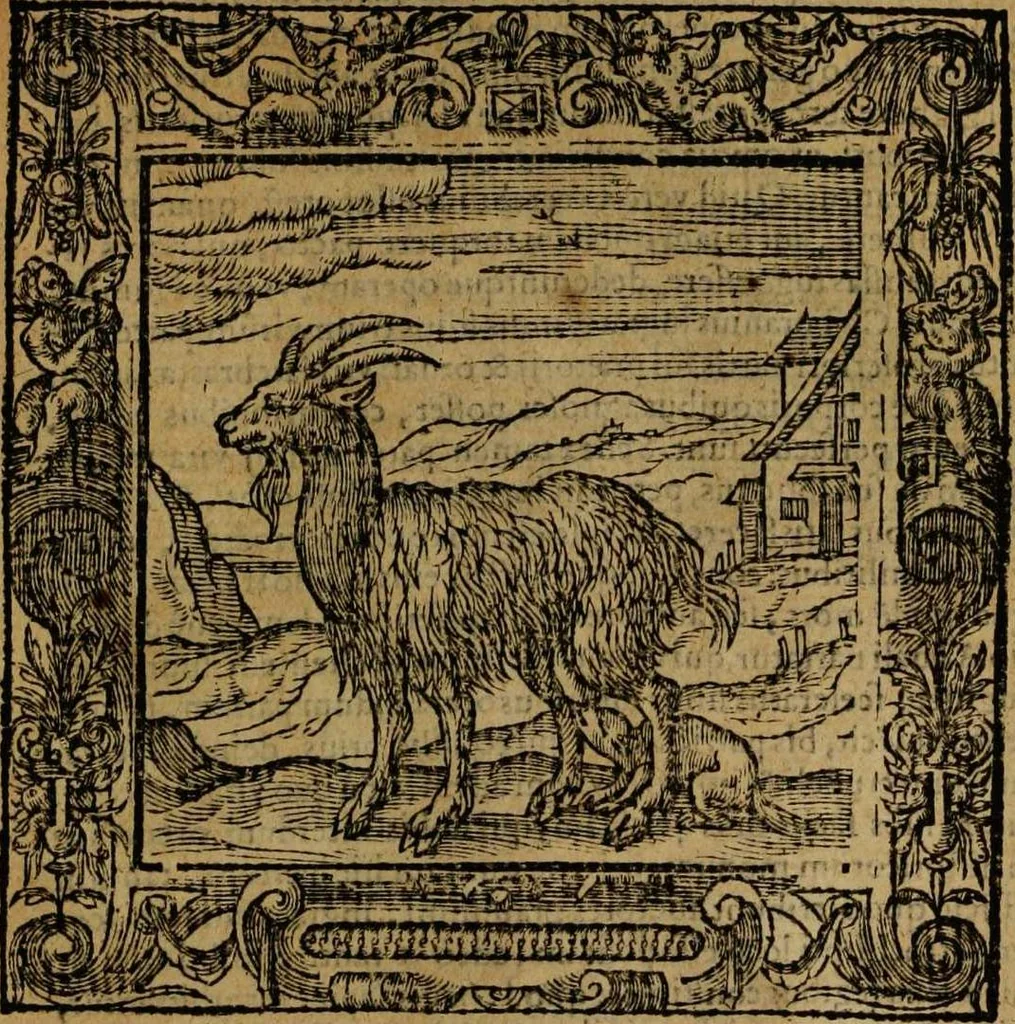 An illustration from Omnia Andreae Alciati v.c. emblemata [electronic resource]: cum commentariis, quibus emblematum omnium aperta origine, mens auctoris explicatur, & obscura omnia dubiáque illustrantur, 1581, leaf 273