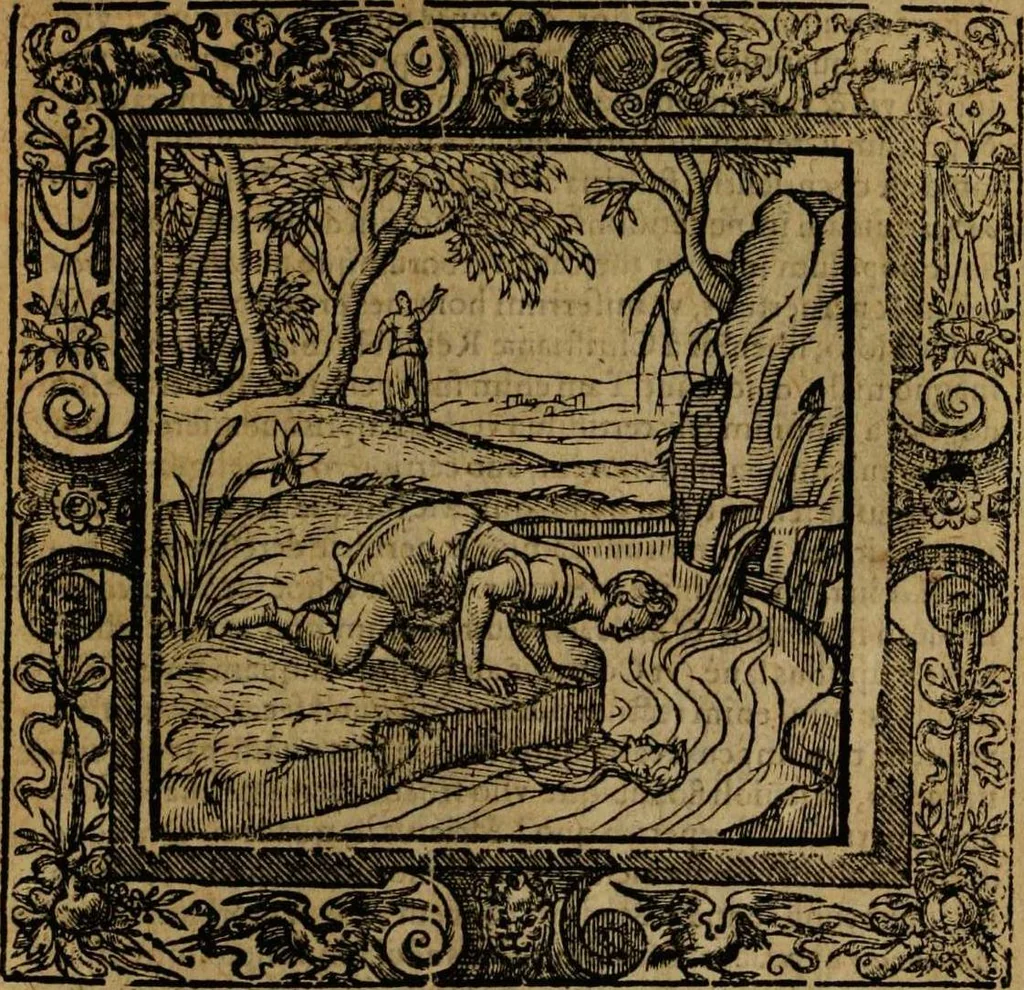An illustration from Omnia Andreae Alciati v.c. emblemata [electronic resource]: cum commentariis, quibus emblematum omnium aperta origine, mens auctoris explicatur, & obscura omnia dubiáque illustrantur, 1581, leaf 287